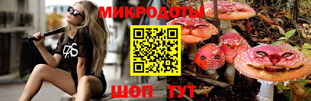 Галлюциногенные грибы прущие грибы Апатиты