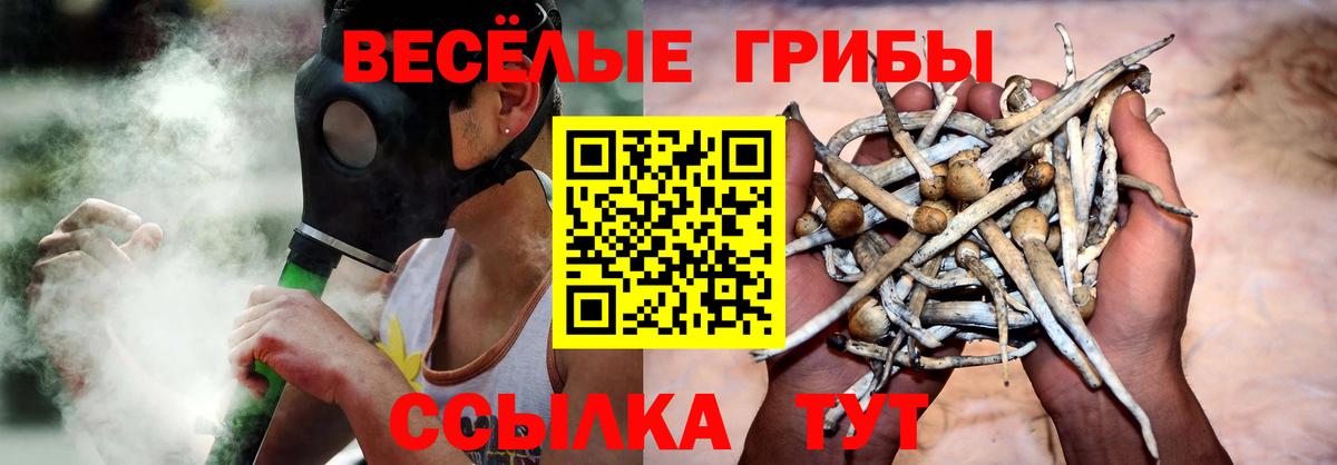наркошоп  Псилоцибиновые грибы мицелий  Вход с VPN  Апатиты 